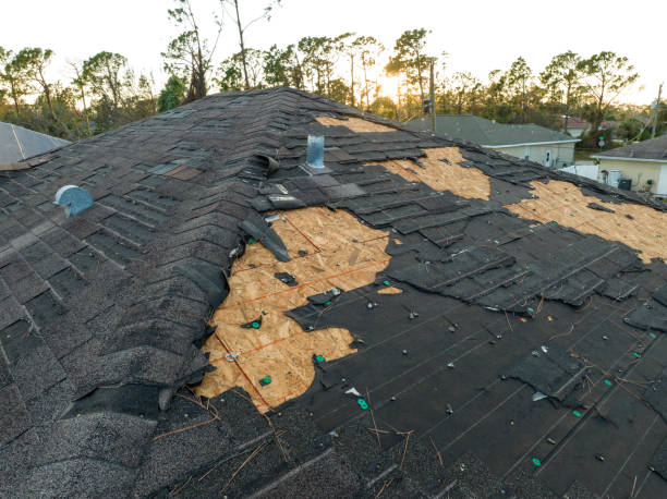 Best Roof Insulation Installation  in Limesa, CA