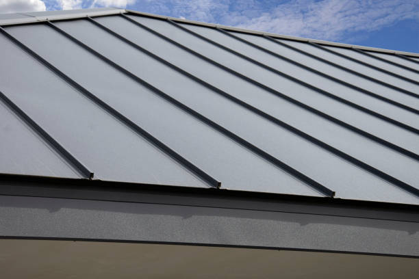 Best Roof Coating and Sealing  in Limesa, CA