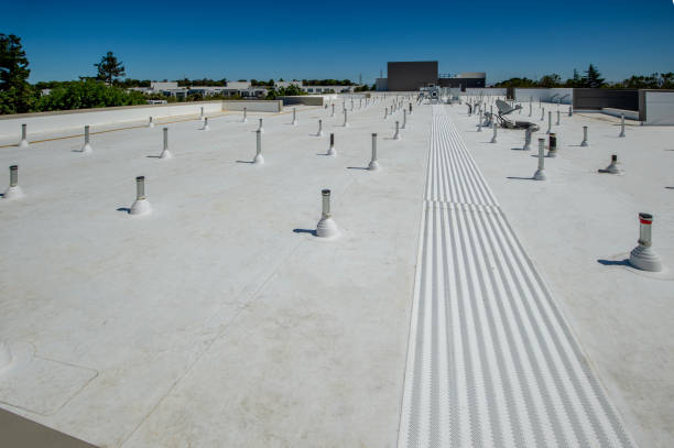 Best Solar Panel Roofing Installation  in Limesa, CA